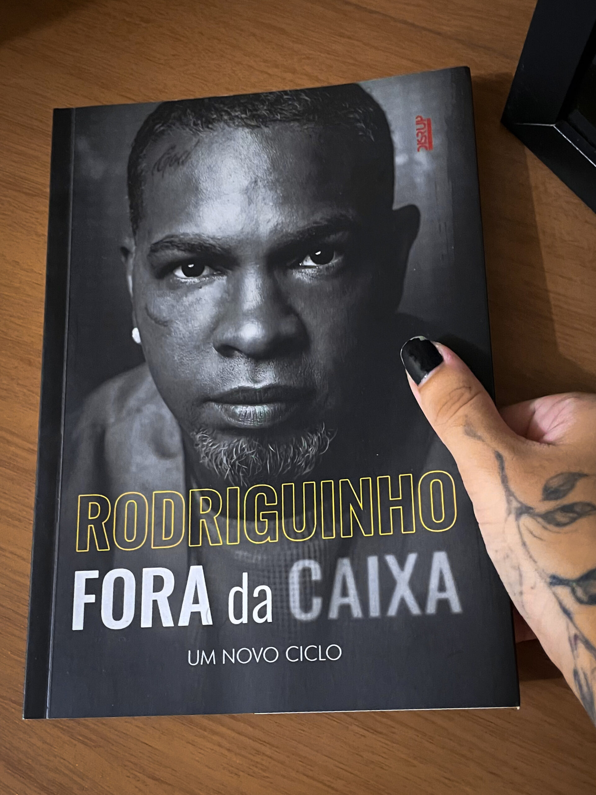 Livro Rodriguinho Fora da Caixa: Um Novo Ciclo